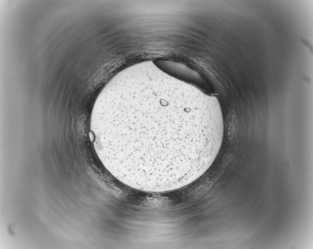 X0000100200455200806271645