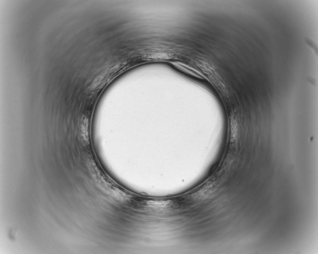 X0000100200457200806271645