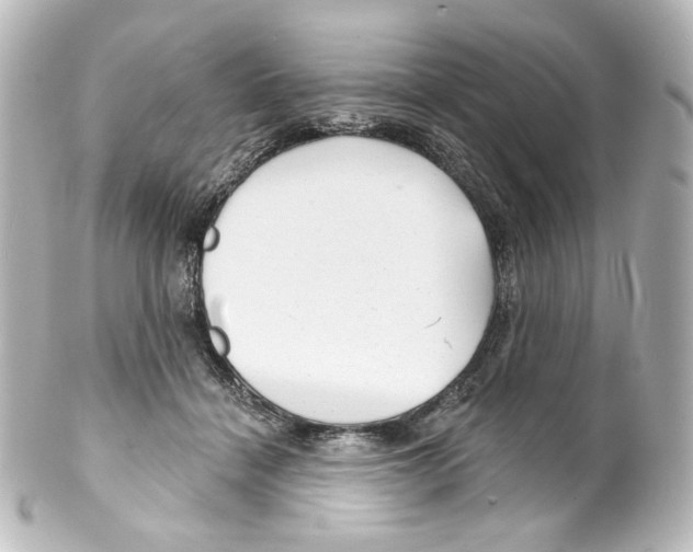 X0000100200460200806271645