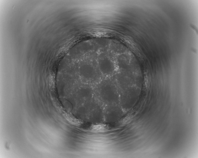 X0000100200461200806271645