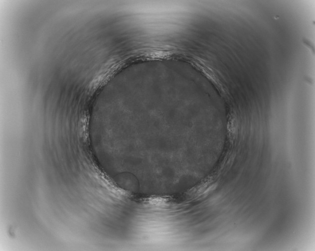 X0000100200462200806271645