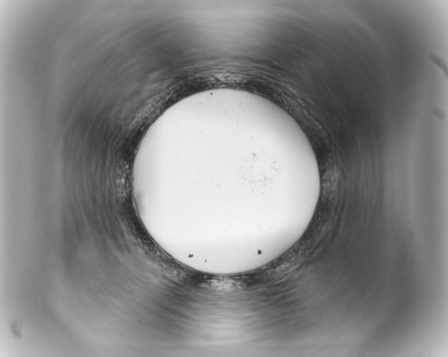 X0000100200464200806271645