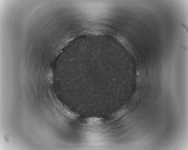 X0000100200465200806271645