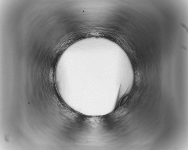 X0000100200466200806271645