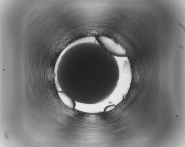 X0000100200467200806271645