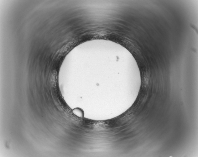 X0000100200468200806271645