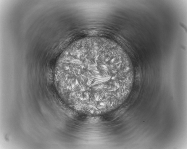 X0000100200469200806271645