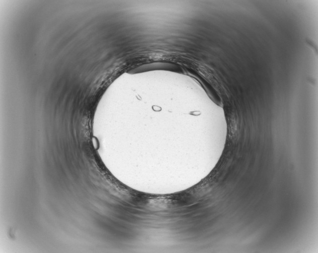 X0000100200470200806271645