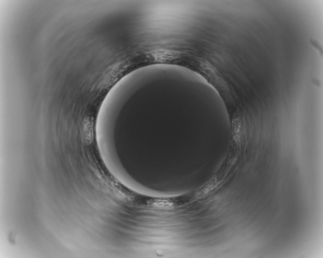 X0000100200471200806271645