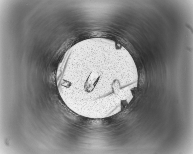 X0000100200473200806271646