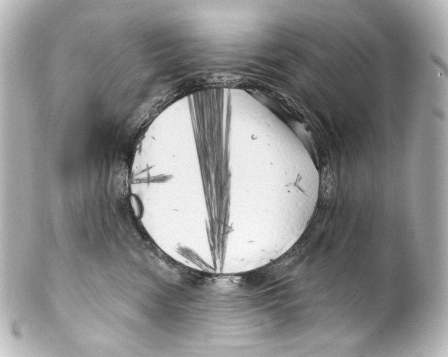 X0000100200474200806271646