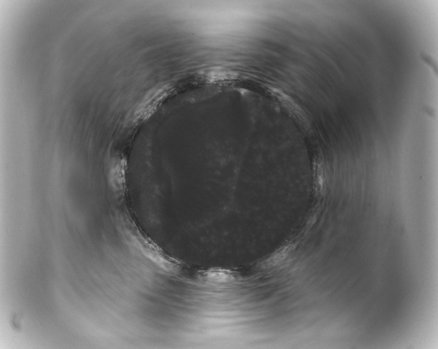 X0000100200475200806271646