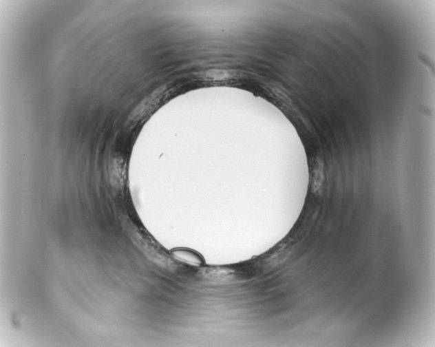 X0000100200476200806271646