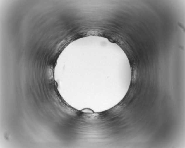 X0000100200478200806271646