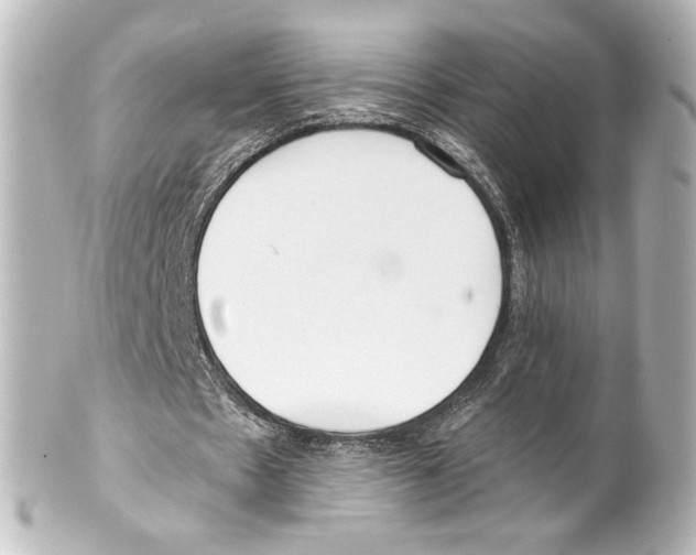 X0000100200481200806271645