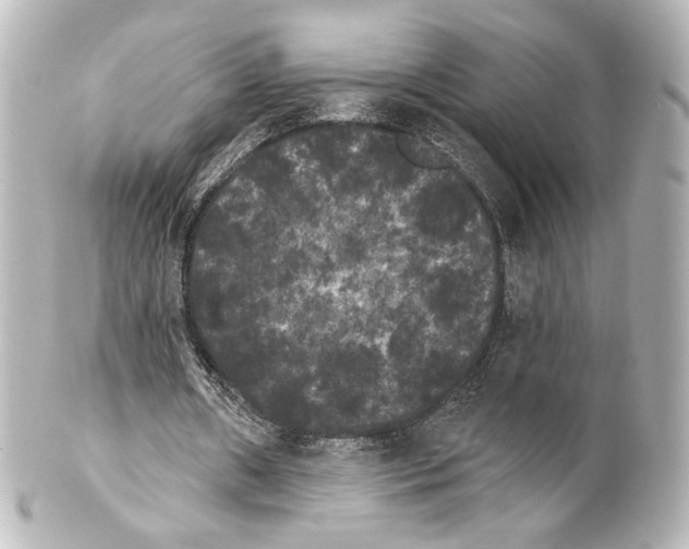 X0000100200482200806271645