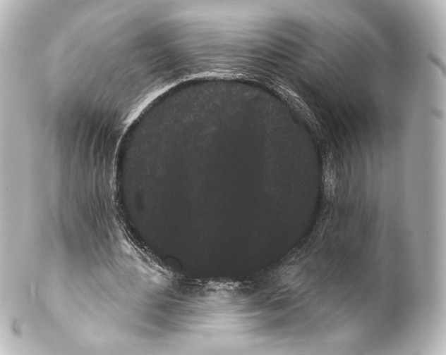 X0000100200484200806271645