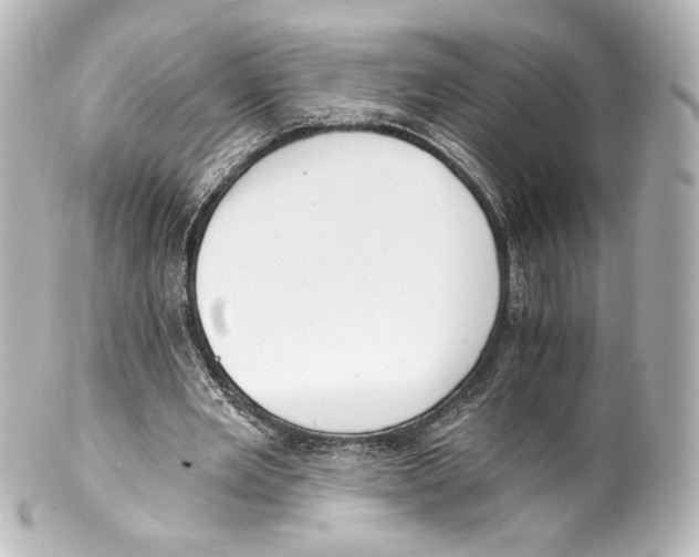 X0000100200485200806271645