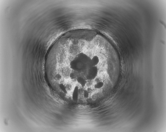 X0000100200487200806271645