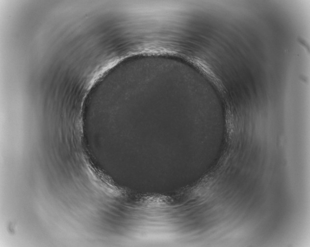 X0000100200488200806271645