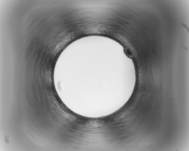 X0000100200489200806271645