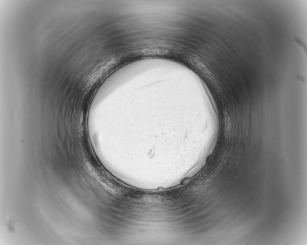 X0000100200490200806271645