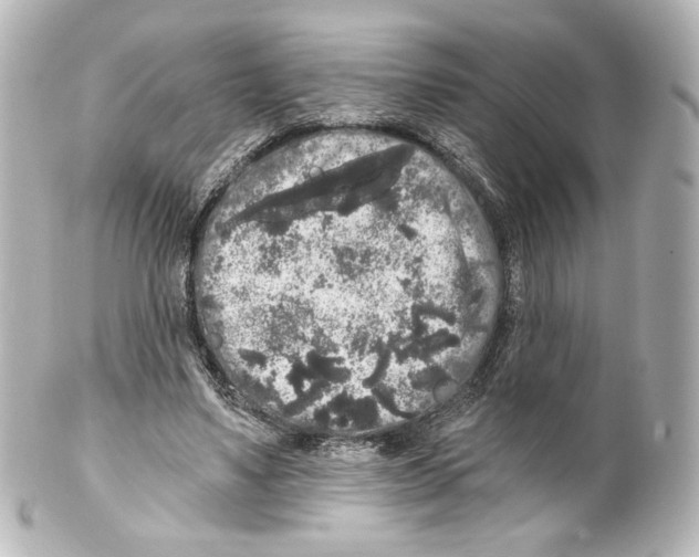 X0000100200491200806271645