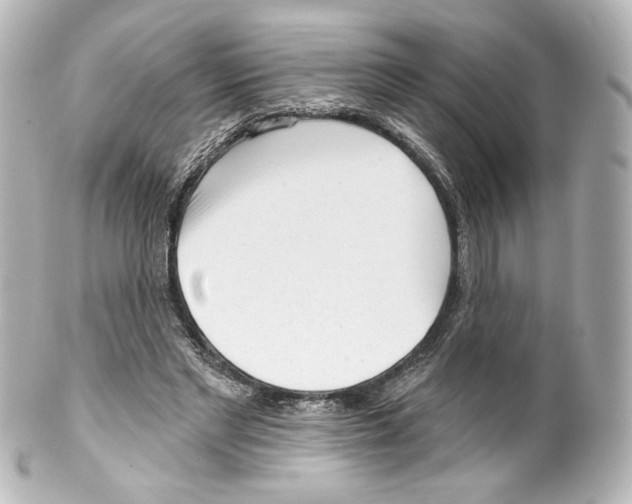 X0000100200493200806271645