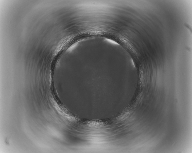 X0000100200494200806271645