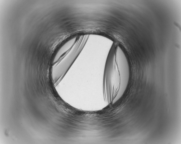 X0000100200495200806271645