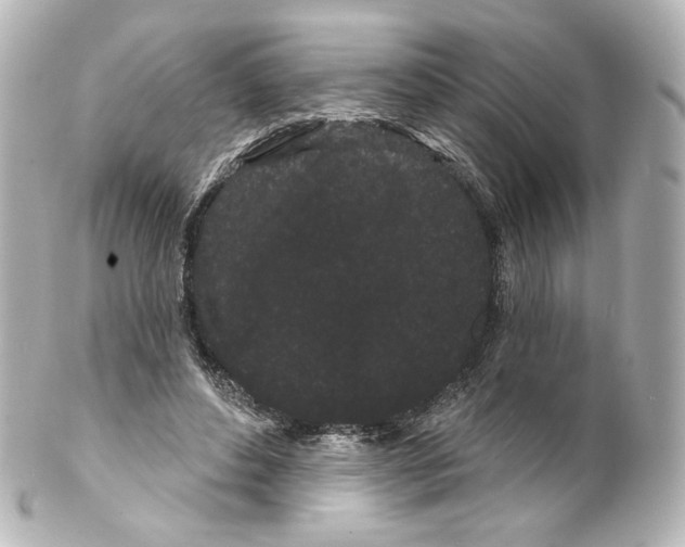 X0000100200496200806271645