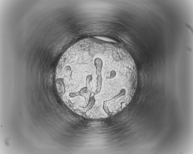 X0000100200499200806271645