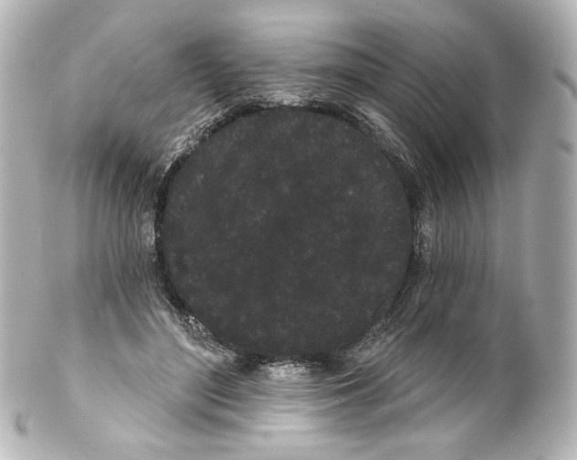 X0000100200500200806271645