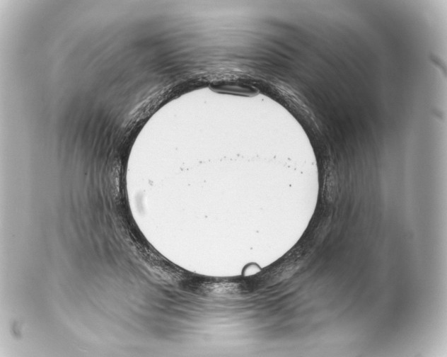 X0000100200501200806271645