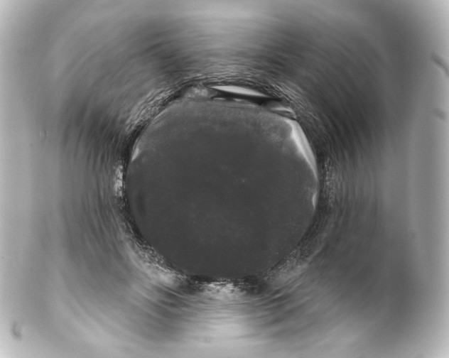 X0000100200502200806271645