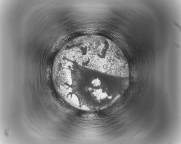 X0000100200503200806271645