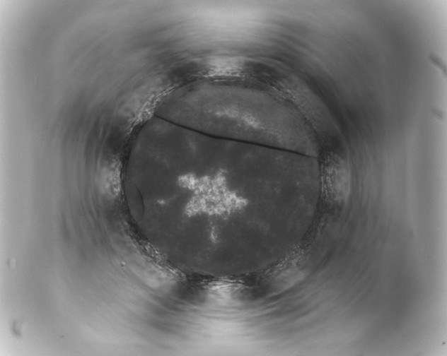 X0000100200504200806271645