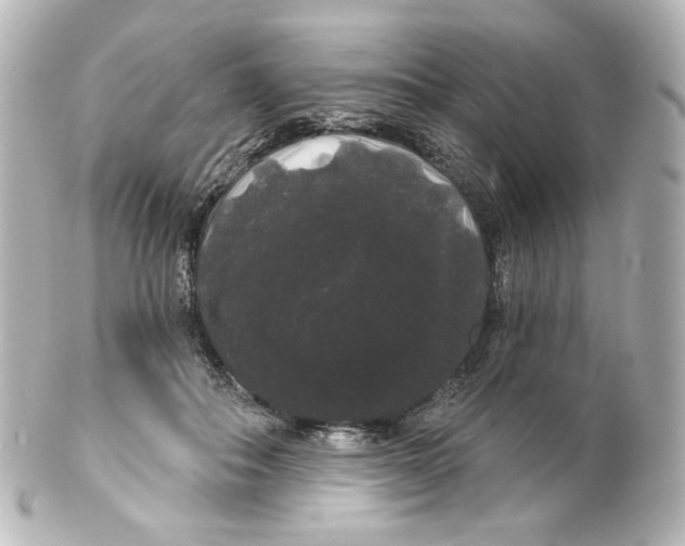 X0000100200506200806271645