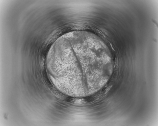 X0000100200507200806271645