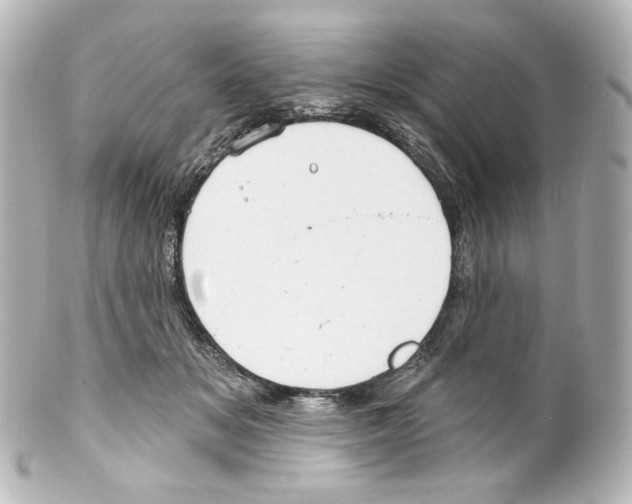 X0000100200509200806271645