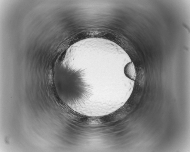 X0000100200510200806271645