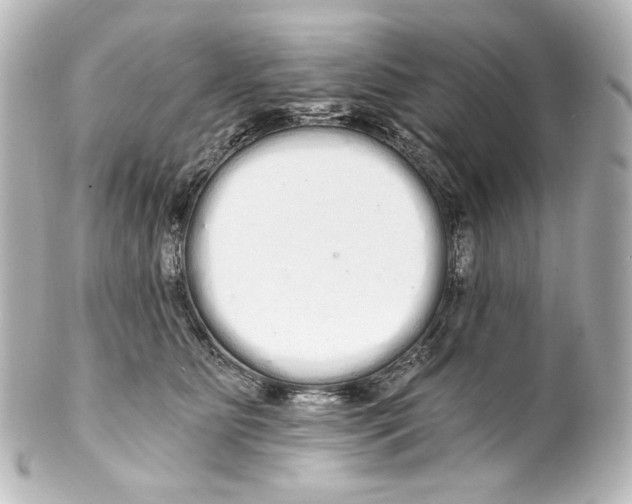 X0000100200515200806271644