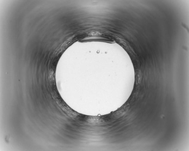 X0000100200521200806271644