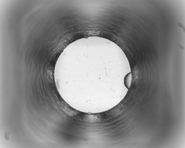 X0000100200522200806271644