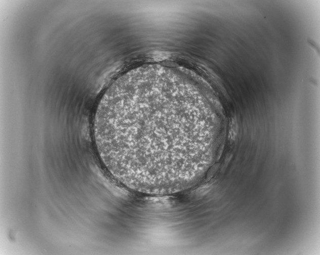 X0000100200524200806271644