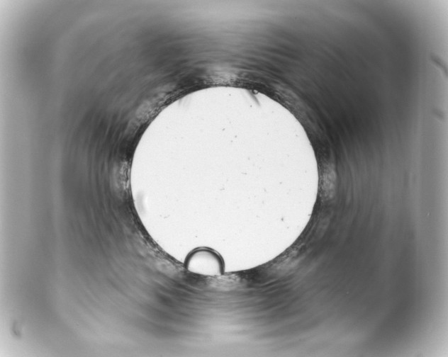 X0000100200525200806271644