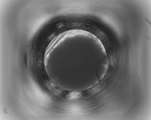 X0000100200526200806271644