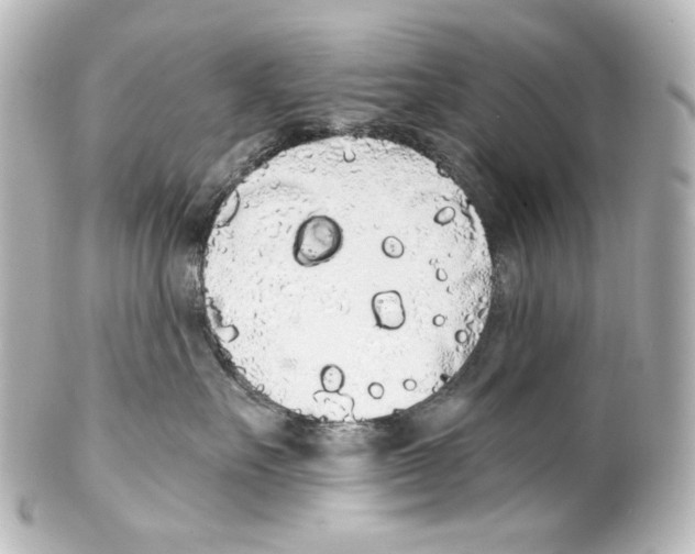 X0000100200527200806271644