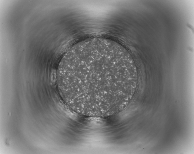 X0000100200528200806271644