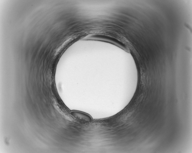 X0000100200530200806271644